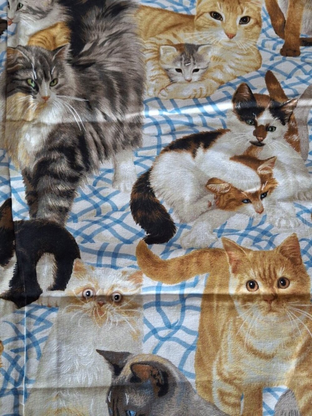 Daisy Kingdom Cotton Fabric #1872 Cats Meow Allover  1 yard x 44"